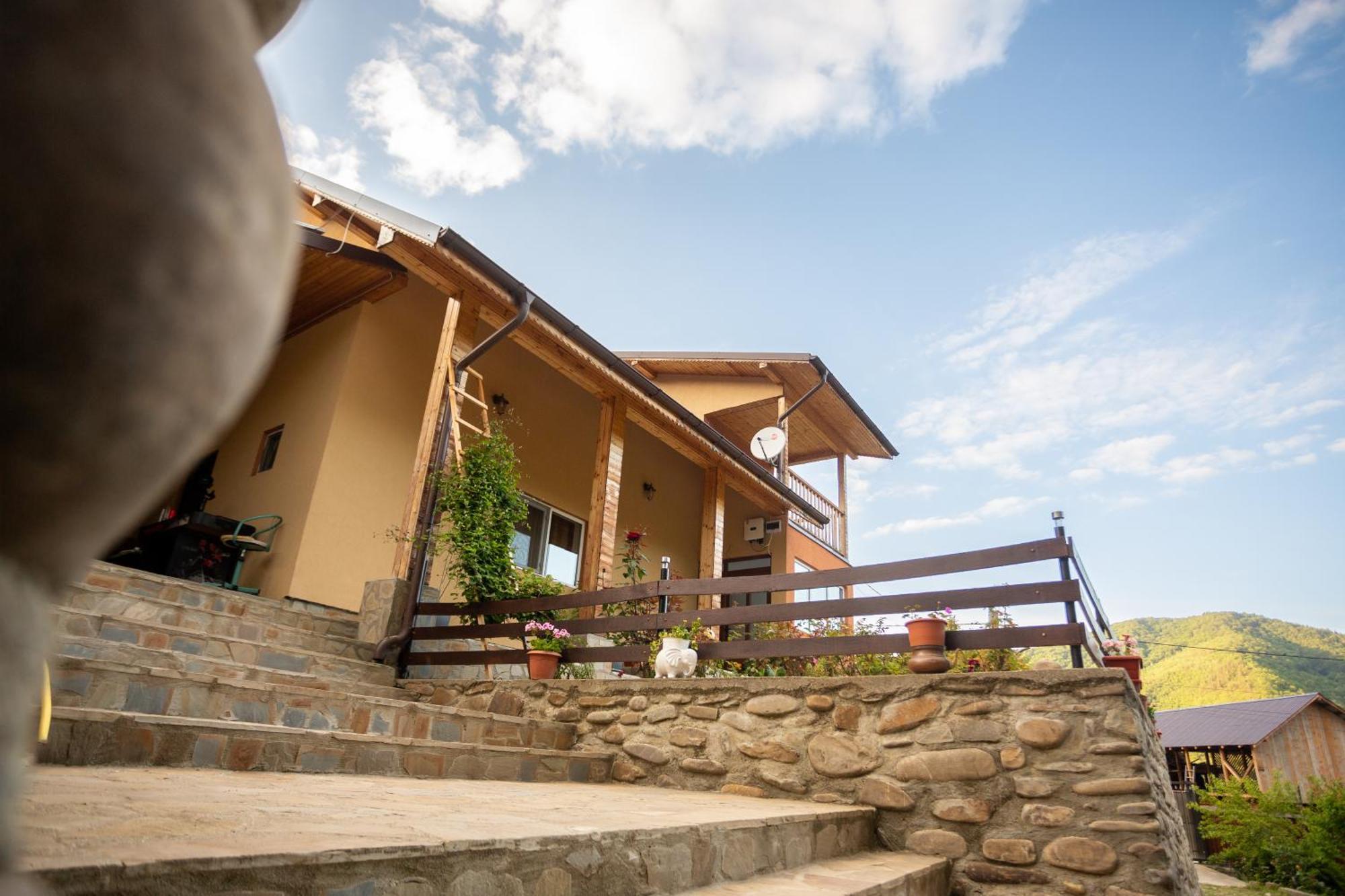 Casa Rumelia Paltineni Buitenkant foto