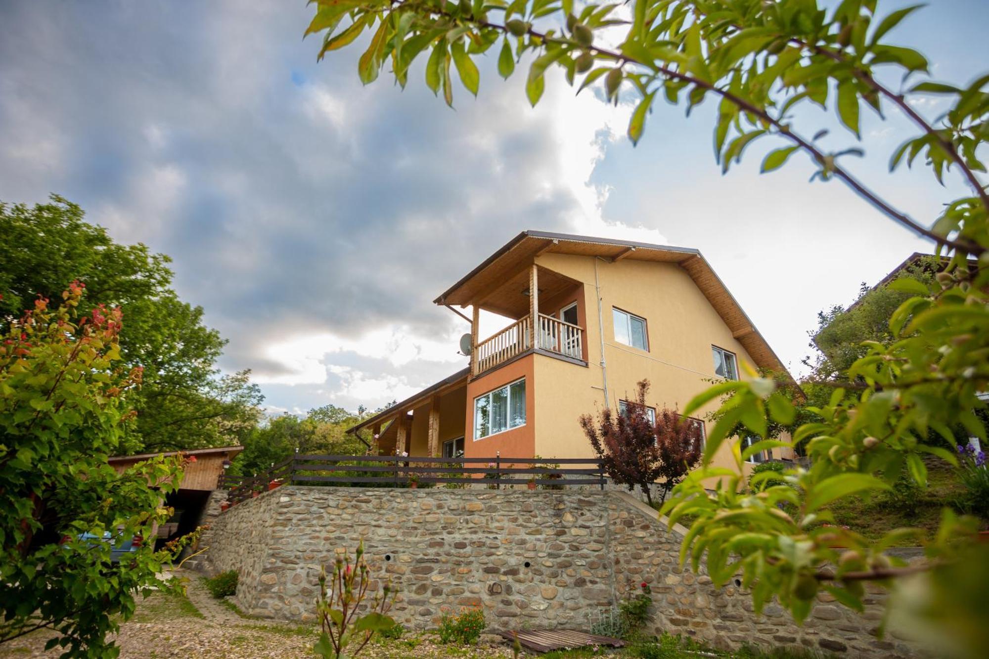 Casa Rumelia Paltineni Buitenkant foto
