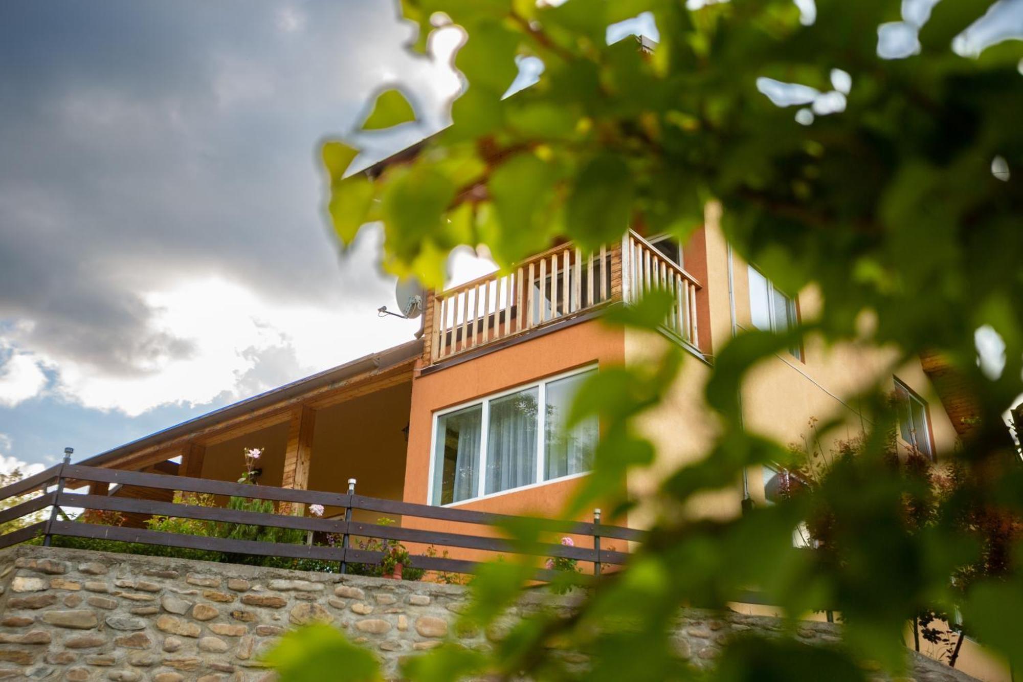 Casa Rumelia Paltineni Buitenkant foto