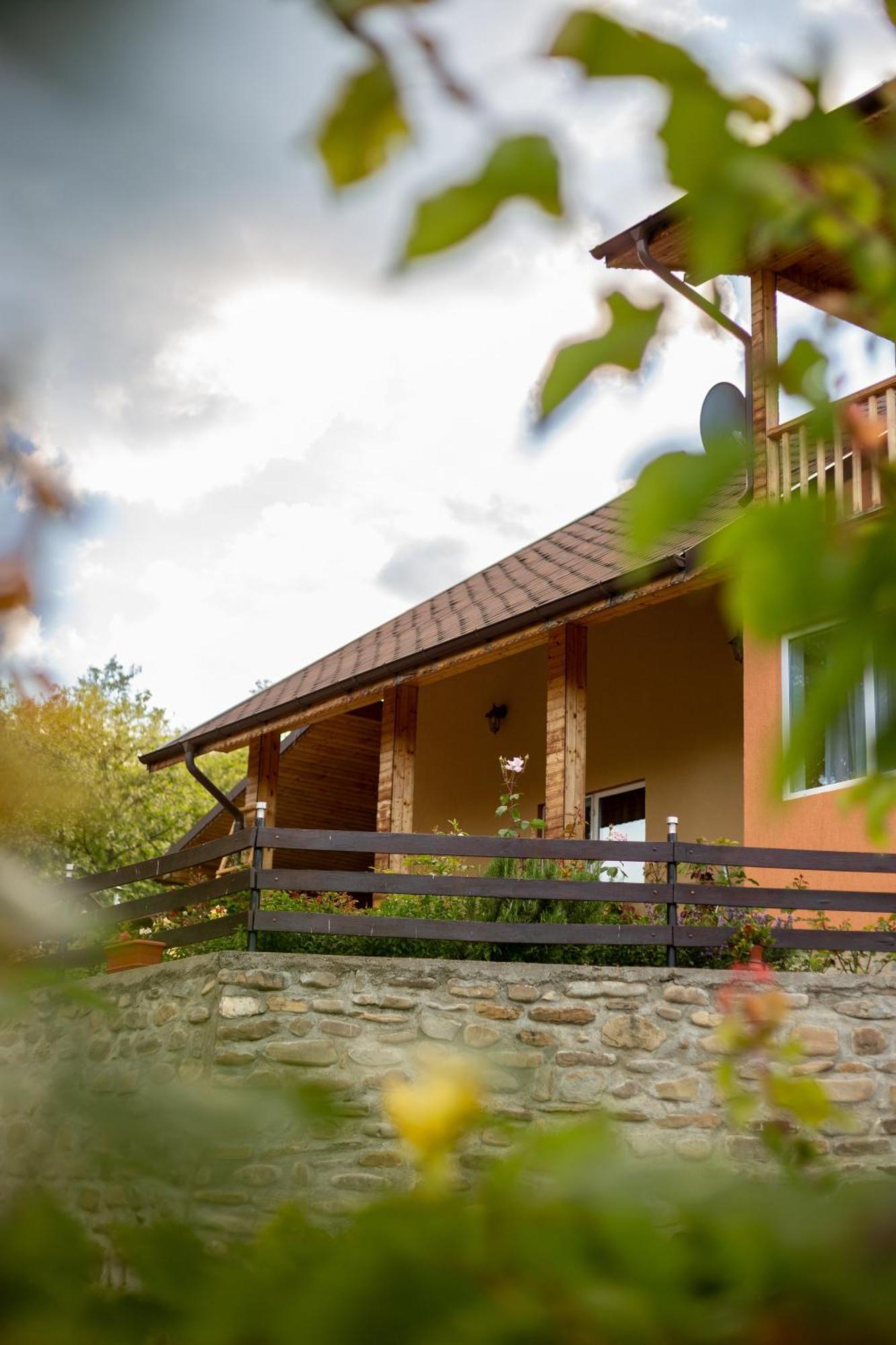 Casa Rumelia Paltineni Buitenkant foto
