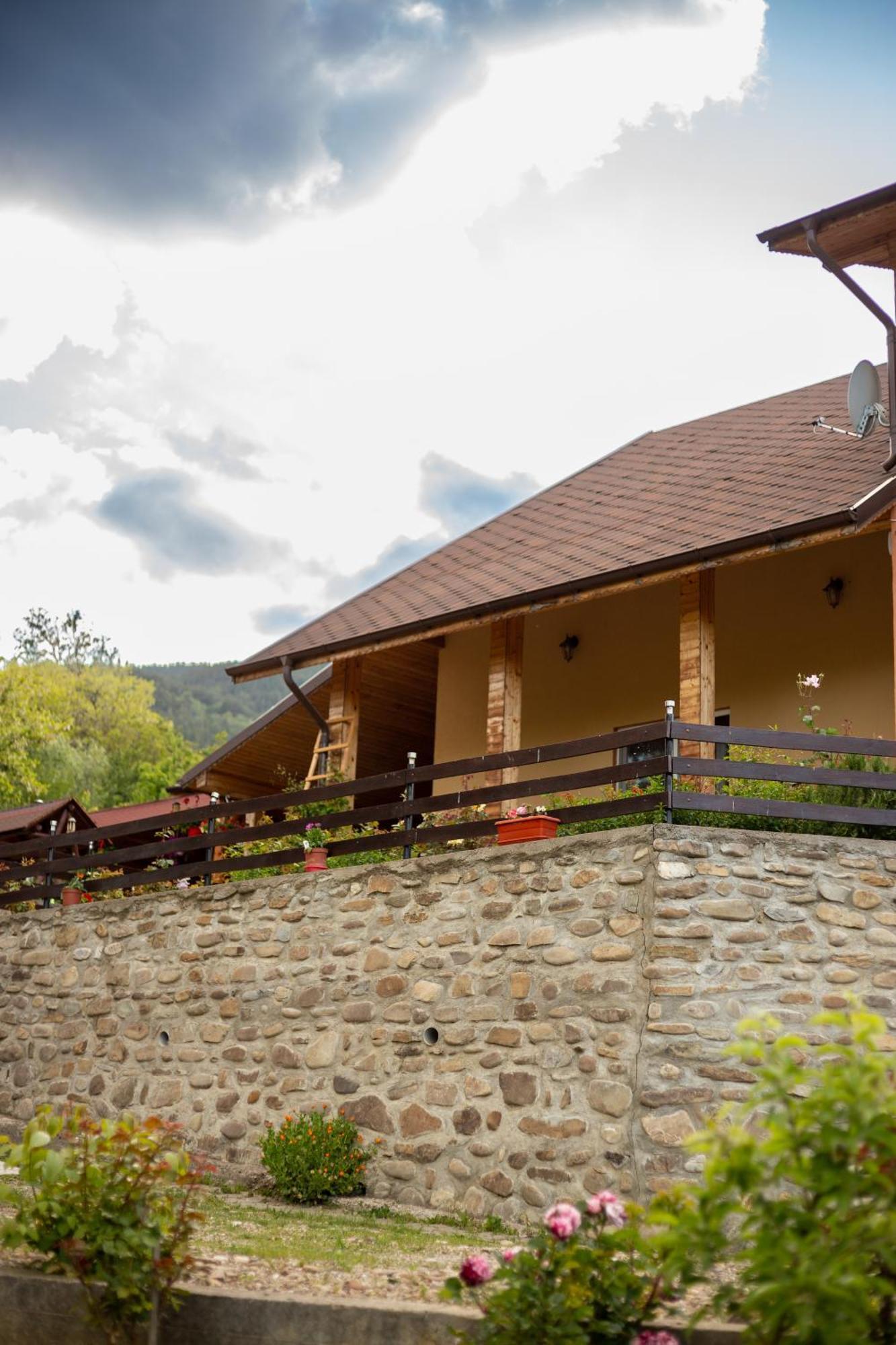 Casa Rumelia Paltineni Buitenkant foto