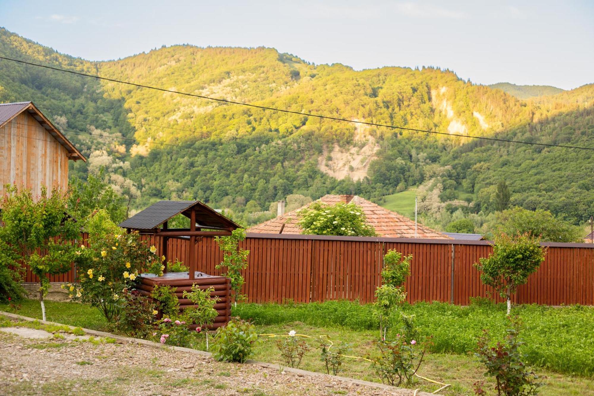 Casa Rumelia Paltineni Buitenkant foto
